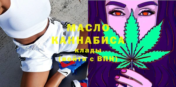 индика Балашиха