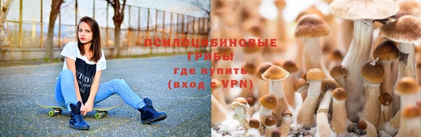 МДМА Лабытнанги