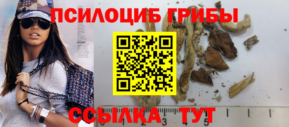 Галлюциногенные грибы Psilocybe Дюртюли