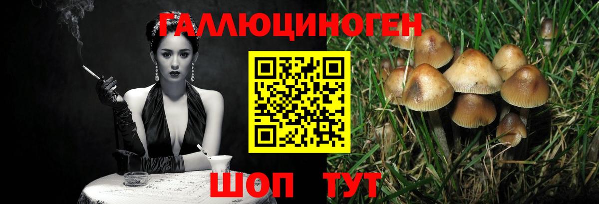 купить наркотик  Вход с VPN  Дюртюли  Псилоцибиновые грибы Magic Shrooms 